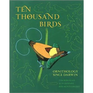 Ten Thousand Birds | Birkhead Tim (2014)