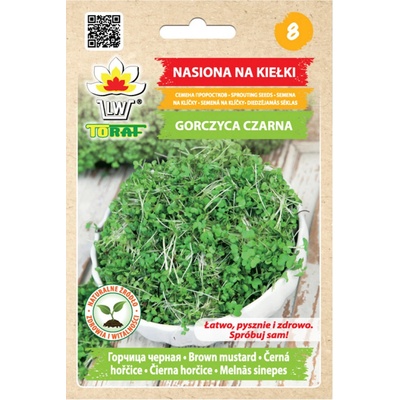 Nohel Garden Klíčky HOŘČICE ČERNÁ 20 g