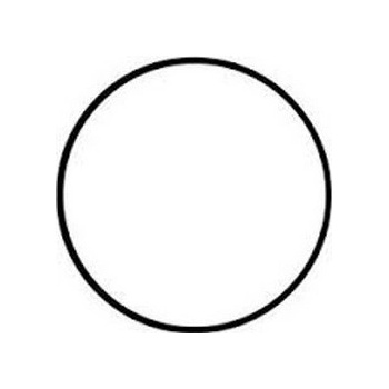 Aquanova NPF-30 O-Ring