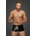 Noir Handmade H069 Snake Wetlook Short-Shorts L