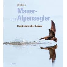 Mauer- und Alpensegler