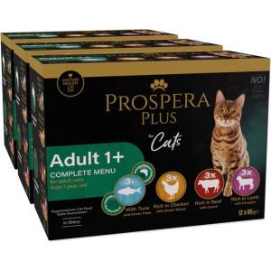 Prospera Plus Adult 1+ пакет 36 x 85 г