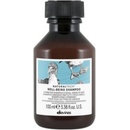 Davines Naturaltech Well Being Shampoo 100 ml