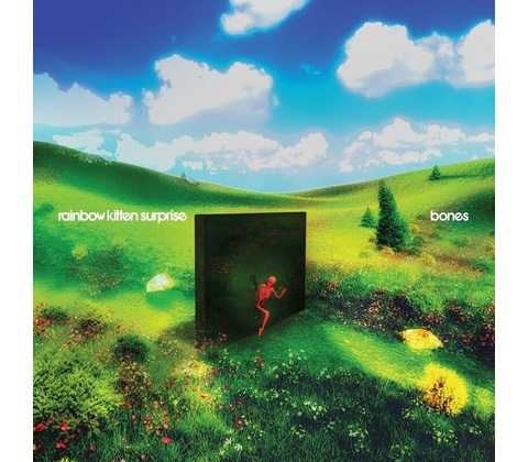 Rainbow Kitten Surprise - Bones CD