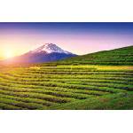 DIMEX ART Флизелинов фототапет фуджи, япония 375 x 250 см