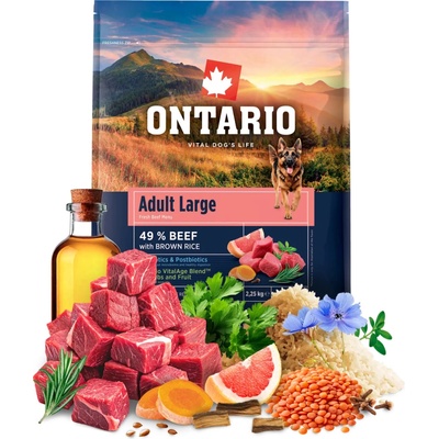 Ontario Adult Large Beef & Brown Rice 2,25 kg