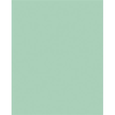 folia Цветна хартия a3, 130 г, 50 листа, folia, мента 6325 (6325)