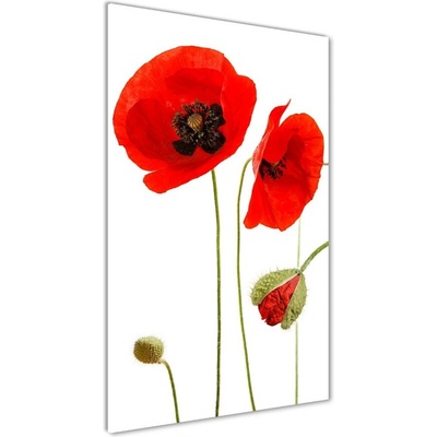 Vertikálny foto obraz fotografie na skle Polné maky 50x100 cm