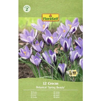 Krokusy FloraSelf 'Spring Beauty' 5/7 12 ks