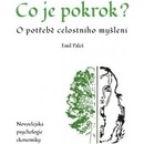 Co je pokrok