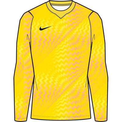 Nike Dri-FIT Gardien VI Goalkeeper Long Sleeve hv8306-718