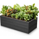 Prosperplast Vyvýšený záhon BASE WOODY antracit 149,2 cm