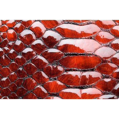Dimex MS-5-2587 Vliesová fototapeta Červená hadí kůže rozměry 375 x 250 cm