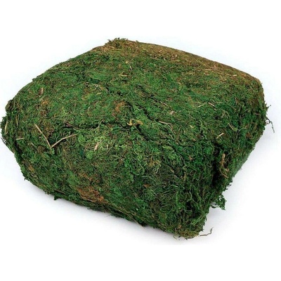 Dekorační přírodní mech 450 g - zelená jedle