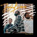 JUNGLE BROWN - FULL CIRCLE LP
