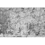 DIMEX ART Флизелинов фототапет фрагмент от стена с канали 375 x 250 см