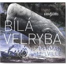 Bílá velryba