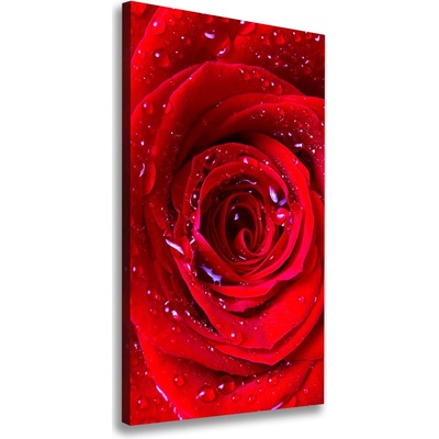 Vertikálny foto obraz na plátne Červená ruža 50x100 cm