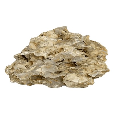 Rataj Dragon rock L 25-35 cm