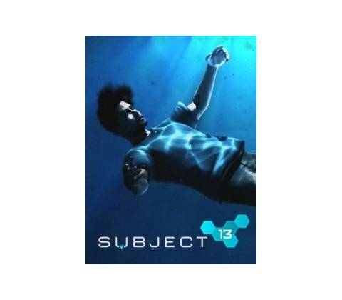 Subject 13
