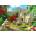 Enjoy - Puzzle Summer Morning - 1 000 piese