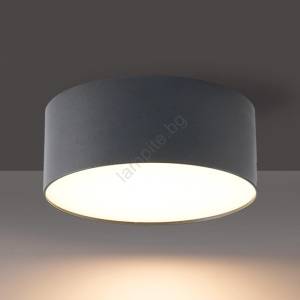 Brilagi - led Външно таванно осветително тяло foris led/20w/230v пр. 15 см антрацит ip44 (bg3788a)