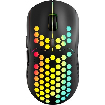 CANYON 7keys (CND-SGMW18)