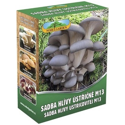 Hlíva ústřičná M13 sadba Nohel Garden 250 ml