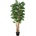 Bizzotto Дъб дърво в саксия H210 cm (0173191)