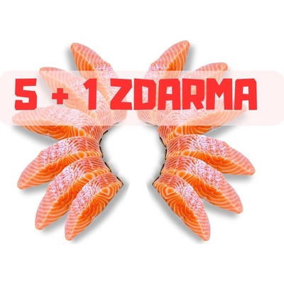 Boxxi Arktický losos 2 porce s kůží bez kostí 280-300 g – Zboží Dáma