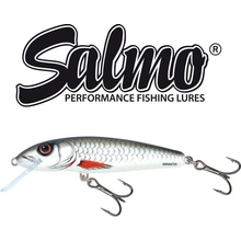 SALMO Minnow sinking 7 cm Dace