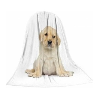 TEXSTAR deka štěně