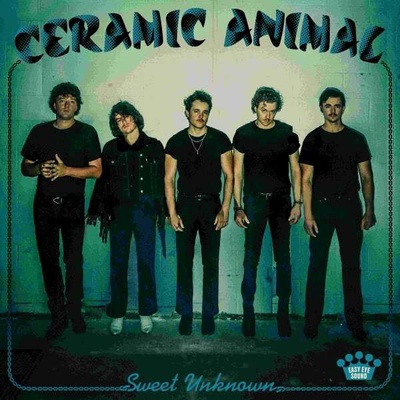 Ceramic Animal - SWEET UNKNOWN Vinyl