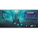 Dungeon Souls
