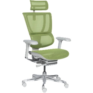 Ergohuman Ергономичен стол ergohuman ioo elite 2 - сива рамка - зелен (3520670) - tierradesign