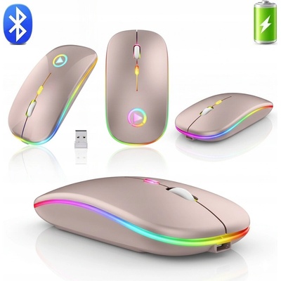DSJ AA2
