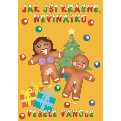 Vánoční přáníčko - Jak JSI KRÁSNÉ, NEVIŇÁTKO