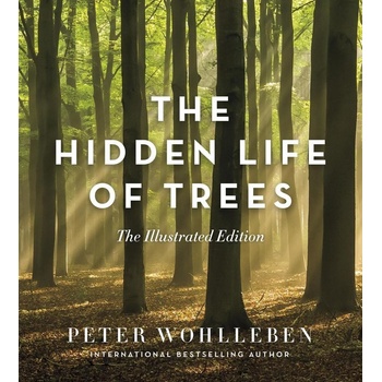 Hidden Life of Trees