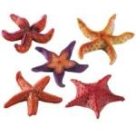 Ferplast - Marine stars - Декорация за аквариум във форма на морска звезда, - опаковка 1 брой, 9 x 9 x h 2, 5 см