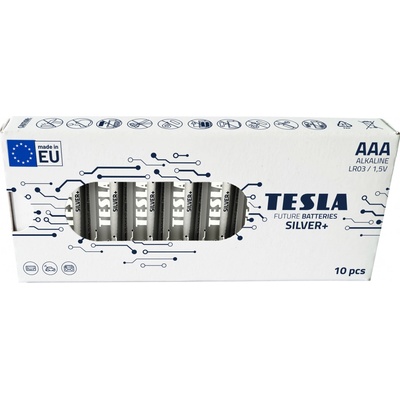 Tesla SILVER+ AAA 10ks 1099137215