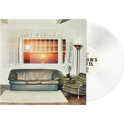Wallows Model Limited Edition 1 Vinyl
