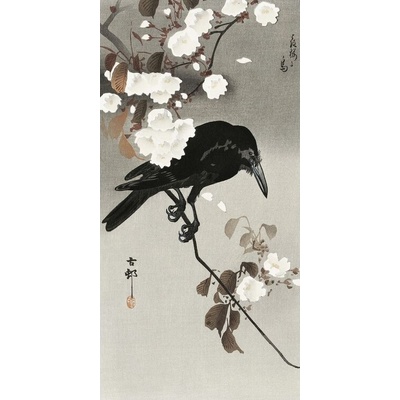 Umelecká tlač Crow And Cherry Blossom, Ohara Koson, 20 × 40 cm