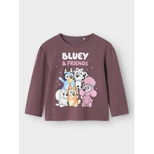 NAME IT Блуза nmfnille bluey ls top (132455334800480)