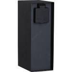 Paulmann 94701 -Екстериорен стълб с контакти със сензор за здрач RIO 2Z 230V IP44 (W3822)
