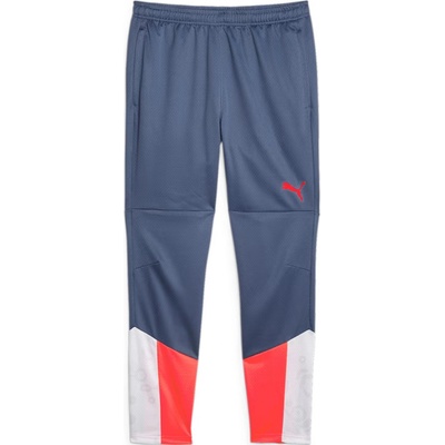 Puma individualCUP Training pants 658487-53