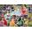 Trefl - Puzzle Disney Princesses - 1 000 piese