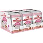 Royal Canin Kitten Instinctive Gravy консерви за котенца в сос 36 x 85 г
