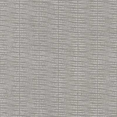 A.S. Création 385976 vliesová tapeta na zeď X-Ray rozmery 0,53 x 10,05 m