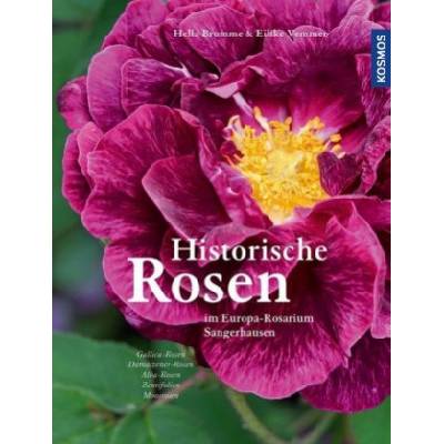 Historische Rosen | Eilike Vemmer
