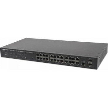 Intellinet 560559